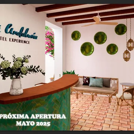 Mi Andalusia Experience *